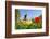 Dutch Windmill and Colorful Tulips and Forget-Me-Not Flowers in Famous Spring Garden 'Keukenhof', H-dzain-Framed Photographic Print