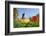 Dutch Windmill and Colorful Tulips and Forget-Me-Not Flowers in Famous Spring Garden 'Keukenhof', H-dzain-Framed Photographic Print