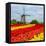 Dutch Windmill over Tulips Field-neirfy-Framed Premier Image Canvas