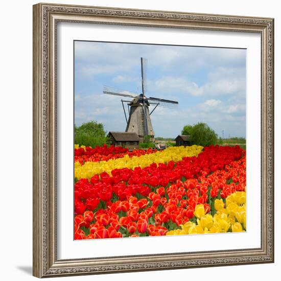 Dutch Windmill over Tulips Field-neirfy-Framed Photographic Print