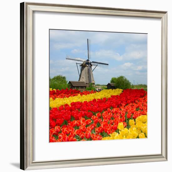 Dutch Windmill over Tulips Field-neirfy-Framed Photographic Print