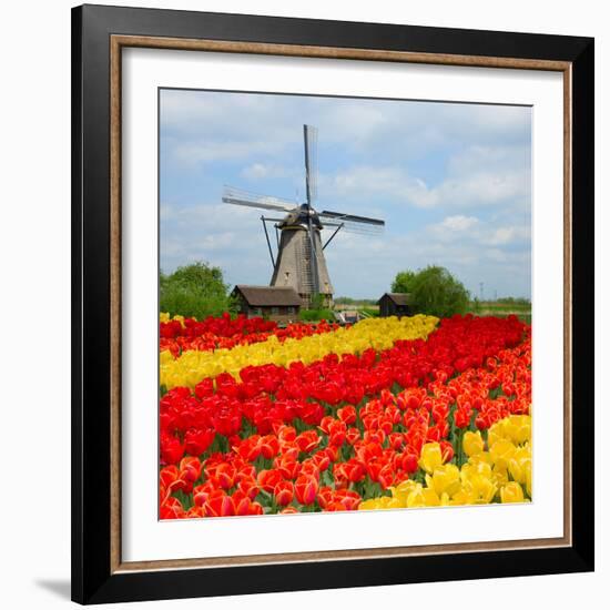 Dutch Windmill over Tulips Field-neirfy-Framed Photographic Print