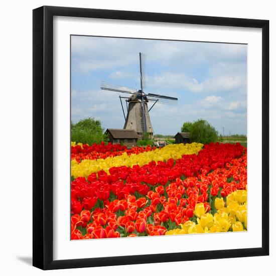 Dutch Windmill over Tulips Field-neirfy-Framed Photographic Print