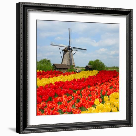 Dutch Windmill over Tulips Field-neirfy-Framed Photographic Print