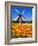 Dutch Windmills and Tulips-Jeni Foto-Framed Photographic Print