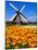 Dutch Windmills and Tulips-Jeni Foto-Mounted Photographic Print