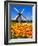 Dutch Windmills and Tulips-Jeni Foto-Framed Photographic Print