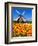 Dutch Windmills and Tulips-Jeni Foto-Framed Photographic Print