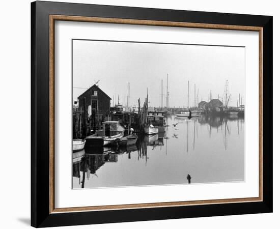 Dutcher Dock, Menemsha, Martha's Vineyard-Alfred Eisenstaedt-Framed Photographic Print