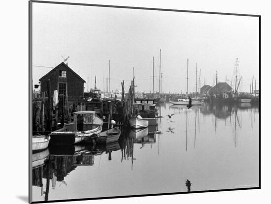 Dutcher Dock, Menemsha, Martha's Vineyard-Alfred Eisenstaedt-Mounted Photographic Print