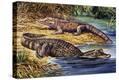 Stretched Canvas Print
