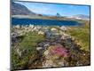 Premium Photographic Print