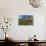 Dwarf Fireweed (River Beauty Willowherb) (Chamerion Latifolium)-Michael Nolan-Photographic Print displayed on a wall