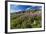 Dwarf Fireweed (River Beauty Willowherb) (Chamerion Latifolium)-Michael Nolan-Framed Photographic Print