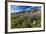 Dwarf Fireweed (River Beauty Willowherb) (Chamerion Latifolium)-Michael Nolan-Framed Photographic Print