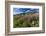 Dwarf Fireweed (River Beauty Willowherb) (Chamerion Latifolium)-Michael Nolan-Framed Photographic Print