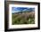 Dwarf Fireweed (River Beauty Willowherb) (Chamerion Latifolium)-Michael Nolan-Framed Photographic Print