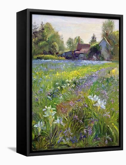 Dwarf Irises and Cottage, 1993-Timothy Easton-Framed Premier Image Canvas