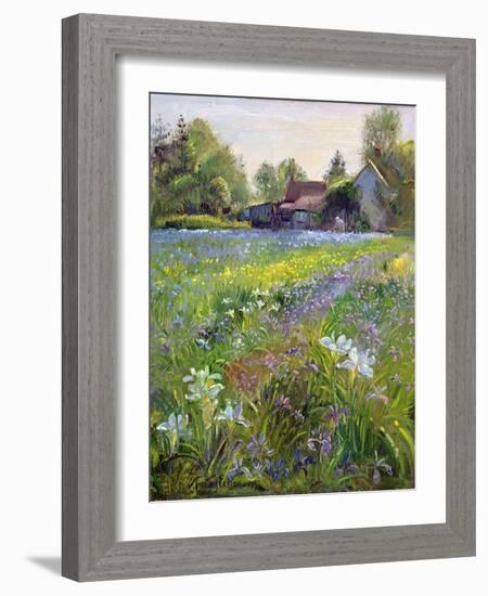 Dwarf Irises and Cottage, 1993-Timothy Easton-Framed Giclee Print