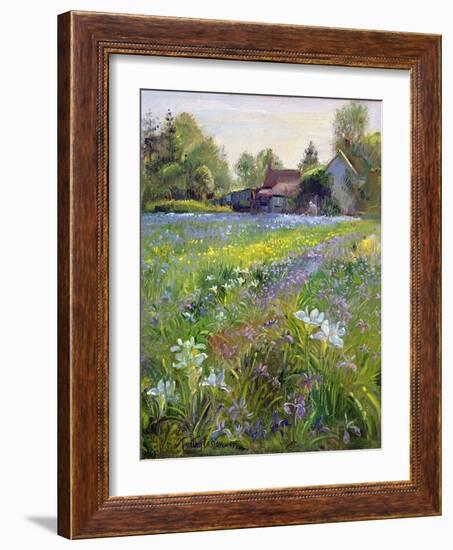 Dwarf Irises and Cottage, 1993-Timothy Easton-Framed Giclee Print