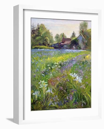 Dwarf Irises and Cottage, 1993-Timothy Easton-Framed Giclee Print