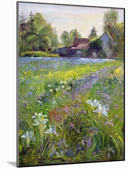 Dwarf Irises and Cottage, 1993-Timothy Easton-Mounted Giclee Print