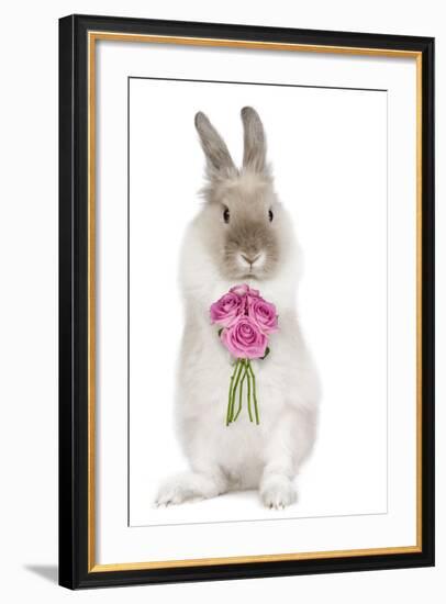 Dwarf Lion-Head Rabbit on Hind Legs Holding Flowers-null-Framed Photographic Print