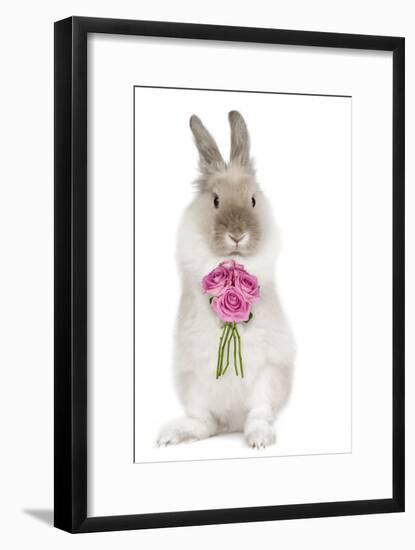 Dwarf Lion-Head Rabbit on Hind Legs Holding Flowers-null-Framed Photographic Print
