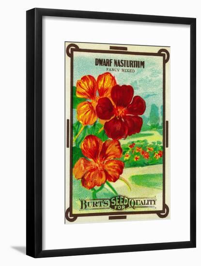 Dwarf Nasturtium Seed Packet-Lantern Press-Framed Art Print