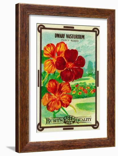 Dwarf Nasturtium Seed Packet-Lantern Press-Framed Art Print