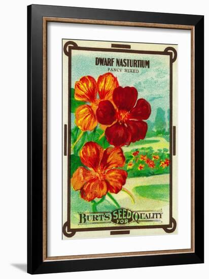 Dwarf Nasturtium Seed Packet-Lantern Press-Framed Art Print