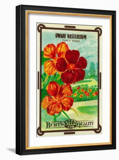 Dwarf Nasturtium Seed Packet-Lantern Press-Framed Art Print