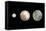 Dwarf Planets-Walter Myers-Framed Premier Image Canvas