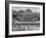 Dwight D. Eisenhower's Inauguration as President of Columbia University-Ralph Morse-Framed Photographic Print