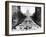 Dwight Eisenhower's Second Inauguration-null-Framed Photo