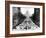 Dwight Eisenhower's Second Inauguration-null-Framed Photo