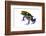 Dyeing Poison Frog (Dendrobates Tinctorius) The Kaw Mountains-Jp Lawrence-Framed Photographic Print