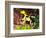 Dyeing Poison Frog, Surinam, Native to Guyana-David Northcott-Framed Photographic Print