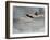 Dying Swan-Susan Adams-Framed Giclee Print