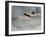 Dying Swan-Susan Adams-Framed Giclee Print