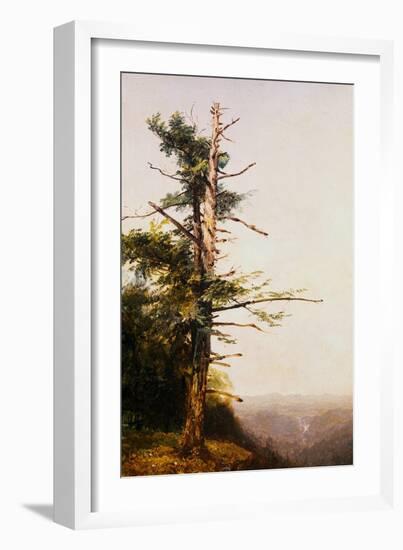 Dying Tree on Mountaintop by John Frederick Kensett-Geoffrey Clements-Framed Giclee Print