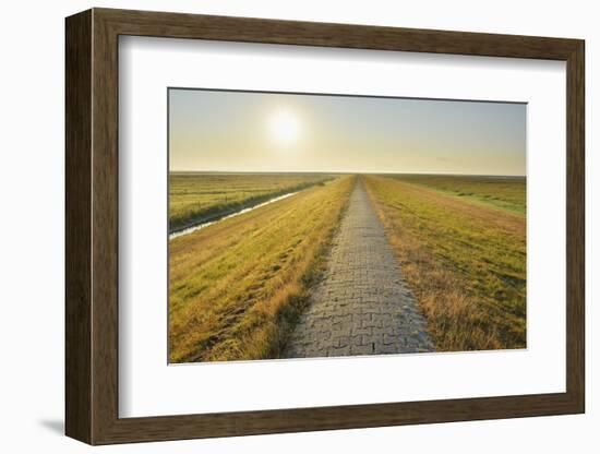 Dyke Path at sunrise in summer, Norderney, East Frisia Island, North Sea, Lower Saxony, Germany-Raimund Linke-Framed Photographic Print