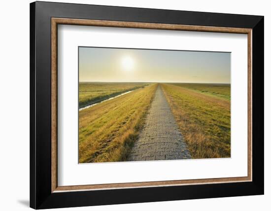 Dyke Path at sunrise in summer, Norderney, East Frisia Island, North Sea, Lower Saxony, Germany-Raimund Linke-Framed Photographic Print