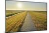 Dyke Path at sunrise in summer, Norderney, East Frisia Island, North Sea, Lower Saxony, Germany-Raimund Linke-Mounted Photographic Print