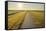 Dyke Path at sunrise in summer, Norderney, East Frisia Island, North Sea, Lower Saxony, Germany-Raimund Linke-Framed Stretched Canvas