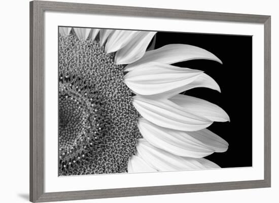 Dynamic Centre-Markus Lange-Framed Giclee Print