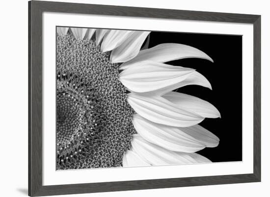 Dynamic Centre-Markus Lange-Framed Giclee Print