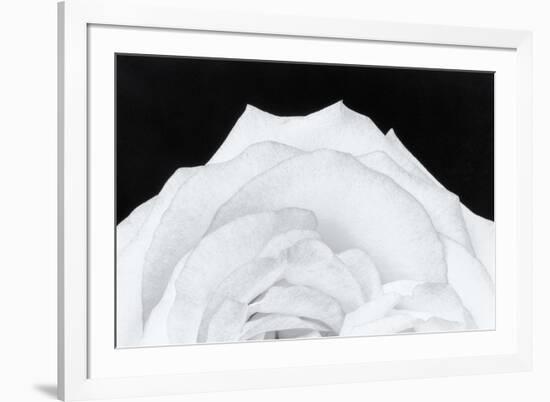 Dynamic Floral-Markus Lange-Framed Giclee Print