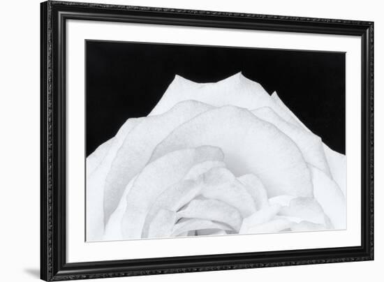 Dynamic Floral-Markus Lange-Framed Giclee Print