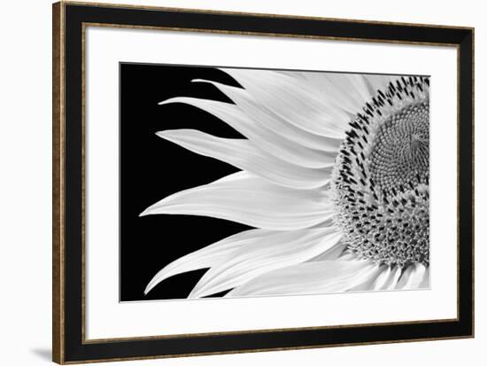 Dynamic Flower-Markus Lange-Framed Giclee Print